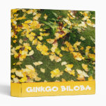 Ginkgo biloba leaves vinyl binder