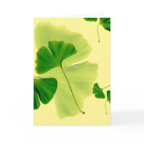 Ginkgo Leaves cards by okawastudios Ginkgo Leaves cards