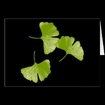Ginkgo Leaves cards
