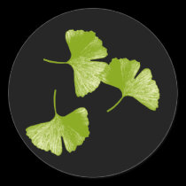 Ginkgo Leaves stickers