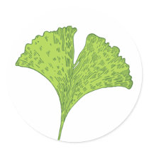 Ginkgo Sticker stickers