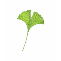 Ginkgo T-Shirt shirt