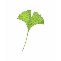 Ginkgo T-Shirt