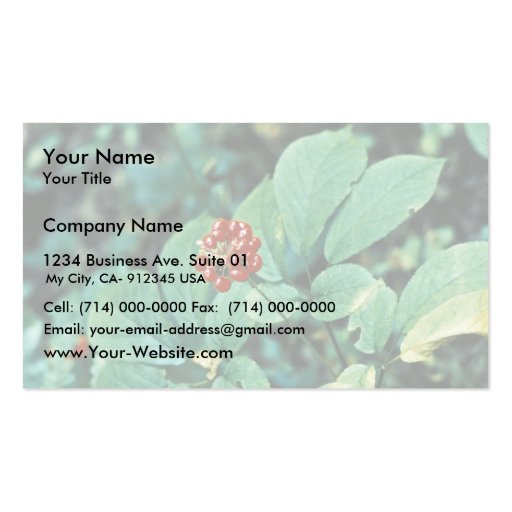 Ginseng ( American ) Business Card