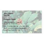 Ginseng ( American ) Business Card