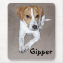 Gipper Doodle mousepads