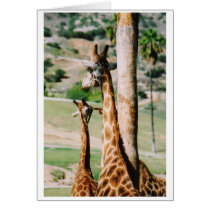 GIRAF_BACK cards by christellewiggins GIRAF_BACK cards