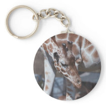 Giraff key chain keychains