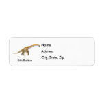 Giraffatitan Return Address Label
