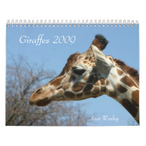 Giraffe 2009 Calendar by amwesley Giraffe 2009 Calendar