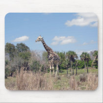 Giraffe 3 mousepads