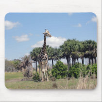 Giraffe 4 mousepads