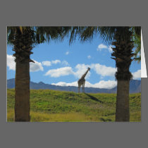 Giraffe All Occasion Card by gramabarb Giraffe All Occasion Card