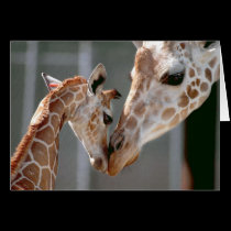 Giraffe and Baby note card cards