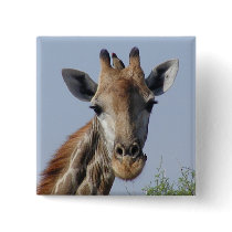 Giraffe and oxpecker Button