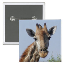Giraffe and oxpecker Button