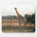 Giraffe Animal Africa Mousepad mousepad