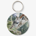 Giraffe at lunch keychains