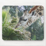 Giraffe at Lunch Mouse Pads