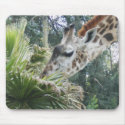 Giraffe at Lunch mousepads
