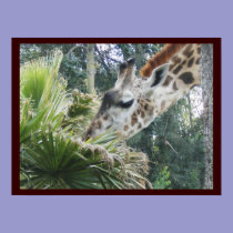 Giraffe at Lunch posters