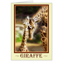 Giraffe Baby Greeting Cards