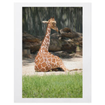 Giraffe Baby Got Back! flyers