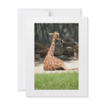 Giraffe Baby Got Back! invitations