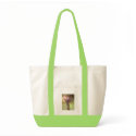 giraffe bags