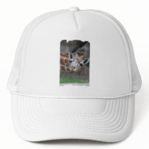 Giraffe  Baseball Hat