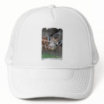 Giraffe  Baseball Hat