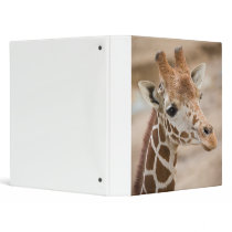 Giraffe 3 Ring Binders