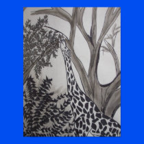 Giraffe black and white poster