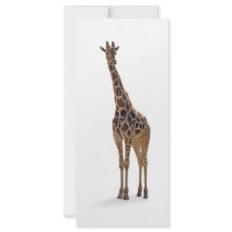 Giraffe Bookmark / Rackcard Rack Cards