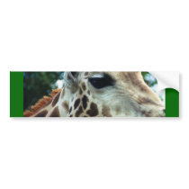 Giraffe Bumper Sticker