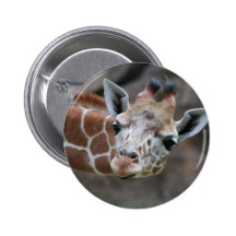 Giraffe  Button