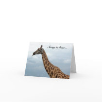 Giraffe cards by katmal Giraffe cards