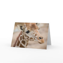 giraffe card