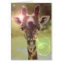 giraffe cards