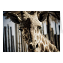 Giraffe cards
