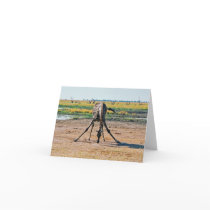 Giraffe Card by rukeman Giraffe Card