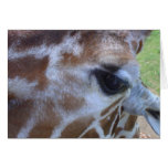 Giraffe Card!