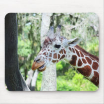 Giraffe Close Up Portrait mousepads
