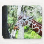 Giraffe Close Up Portrait mousepads