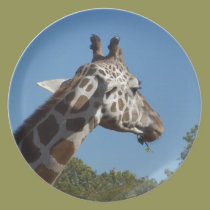 Giraffe plates