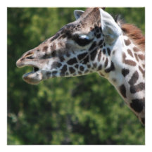 Giraffe Eating Invitations