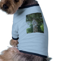 Giraffe Eating Leaf Pet T Shirt