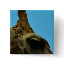 giraffe eye buttons