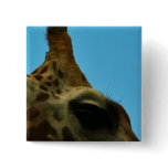 giraffe eye pinback button