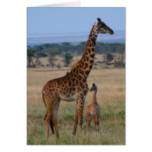 Giraffe family cards